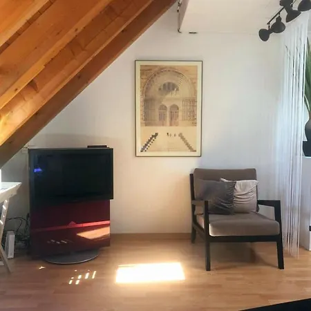 Apartmán Rooftop With Own Terrace And Cityview Curych